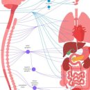 신경한의원 이미지