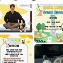 스타 반려견 교육센터 네이버블로그