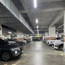 세븐일레븐 광주하남행복점 | 광주맛집 :: 광주 뷔페 추천 프리미엄 초밥뷔페 쿠우쿠우 광주하남점 (주말 점심 오픈런 후기 !)