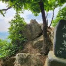 너구리산 이미지