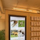 세븐일레븐 경의숲길점 | 마포 경의선숲길 이색적인 유기견 입양 카페 포인핸드 경의숲점 방문후기