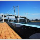 백사장해변 이미지