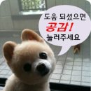 14.10.18 서태지 9집 컴백 콘서트 크리스말로윈 후기!