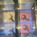 세븐동산점 | 창원 시티세븐 맛집 쿠우쿠우 디저트 천국 등극! 구슬아이스크림 무한리필 실화? 가성비 끝판왕