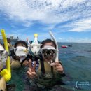 우 | [일본/미야코지마] 야비지투어 스노클링 - 현지 업체 우무츠 Yumutsu 후기