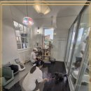 강아지 보호센터 이미지