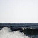 동광로19길 19 이미지