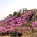 (주)산에들에 이미지