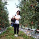 은성축산 이미지