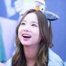 리플라워 이미지