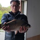삼인 이미지