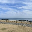 동부산락포트