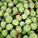 기운찬의원 이미지