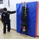 정도합기도 이미지