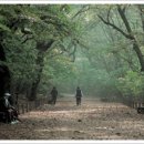 경남함양이은349 이미지