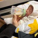 뉴본 김밥 | 광주 더엘 산후조리원 9박10일 이용 후기