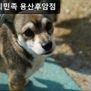 용산-후암-614 네이버블로그