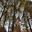 한양대학교(ERICA) 예술디자인대학 | [2025대학 학과별 등록금] 한양대학교/한양대학교(ERICA)