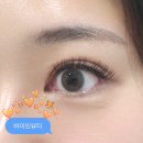 춘천 속눈썹 연장 내돈내산 재방문 유지력 좋은 샵 바이민뷰티