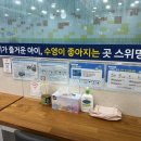 스위밍키즈 태평점 네이버블로그
