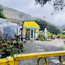 예술마을 705 이미지