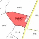 영암옥션
