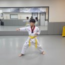 누리태권도 이미지