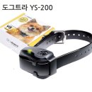 펫 다옴 이미지