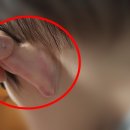 제주경찰청어린이집 뉴시스
