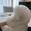 살랑살랑 이미지