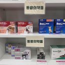 부평동물약국 이미지