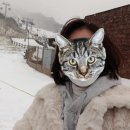 어림지 거창점 이미지