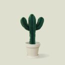 탐나는 고양이 이미지