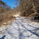 행운실비 이미지