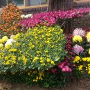 북구청광장 이미지