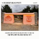 영월-87 | 시흥 베러스퀘어 맛집 추천｜아이와 가기 좋은 파스타 • 피자 식당 내돈내산 후기