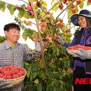 김광연 농장 이미지