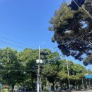 자연앤자이13블럭 | 제주 레스트앤런 가오픈 후기, 호주식 브런치 카페