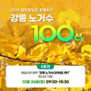 강릉바우길 노거수 100선 6회차 이미지