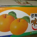 노성숙농장 Daum카페