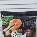 펫츠아일랜드 수월점 이미지