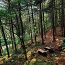 동두천자연휴양림 세미나실2 이미지