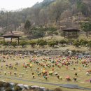 대전추모공원 이미지