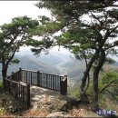 비학산4코스정상 이미지