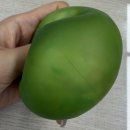 컬트갤러리 | 젠틀한 생각을 매일 하기