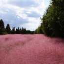 낙동강변1 이미지