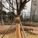 태일조경 이미지