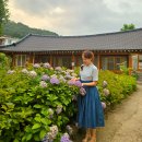 다올재 | 순천여행 숙소 추천 조용한 감성 한옥펜션 다올재