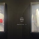 한국영원 태권도 이미지