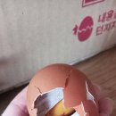 명품구운란 이미지